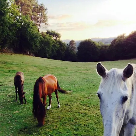 Baralha Lodge *